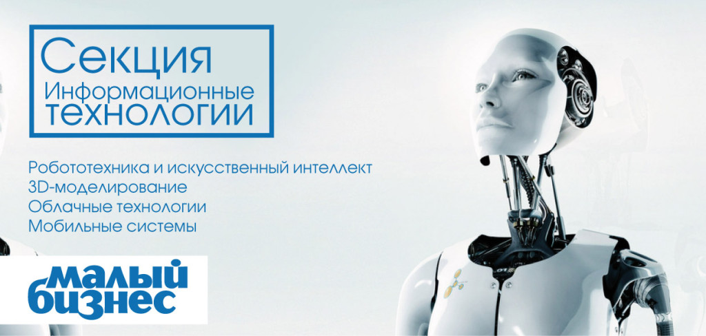 Секция «Информационные технологии» в рамках форума «Малый бизнес Тольятти 2014»