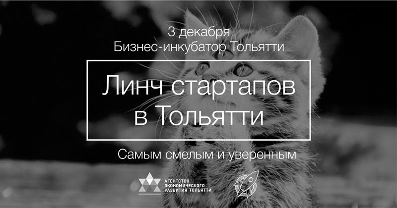 ЛИНЧ Стартапов в Тольятти