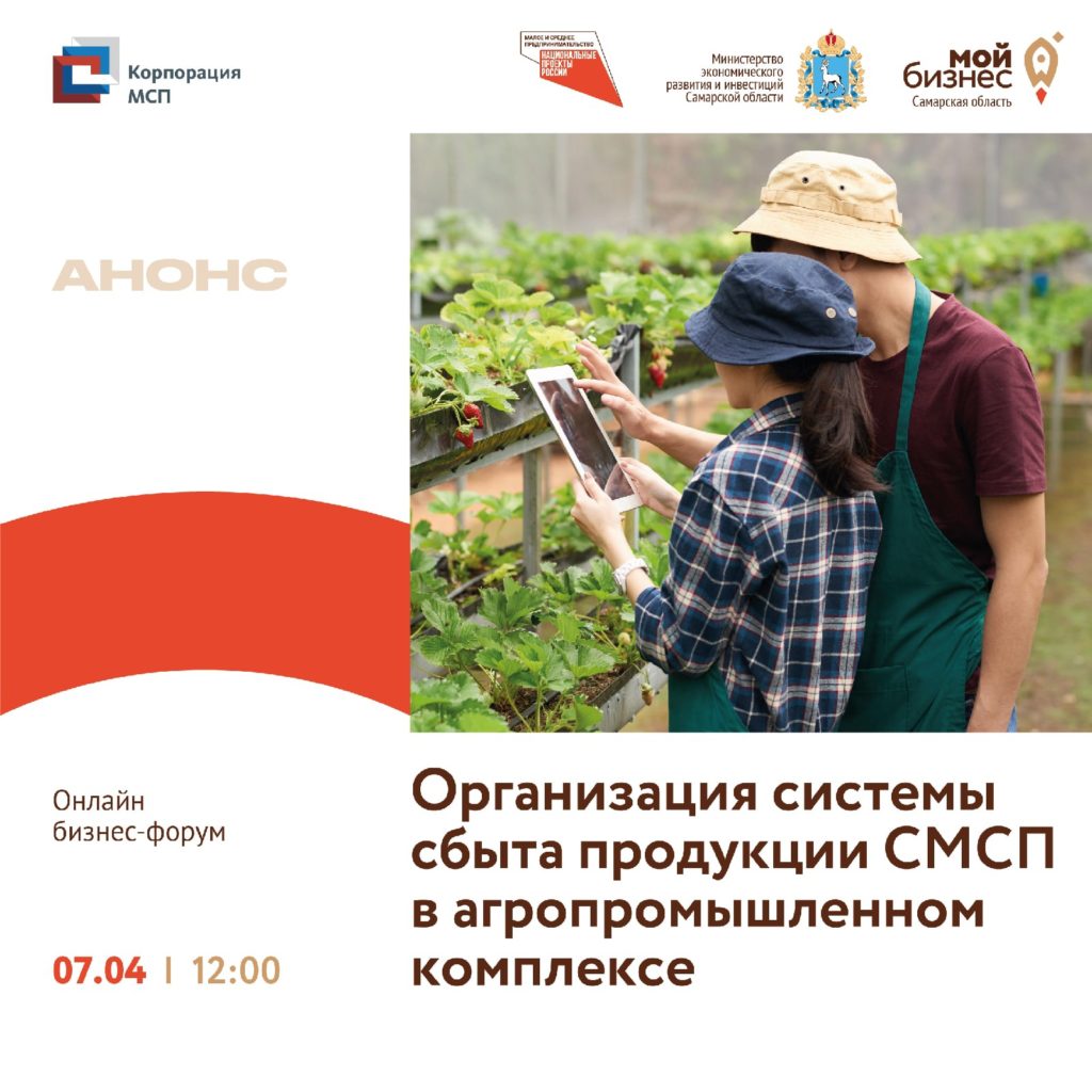 Всероссийский онлайн бизнес-форум «Организация системы сбыта продукции субъектов МСП в агропромышленном комплексе»