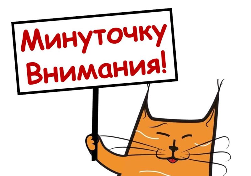 Об участии самозанятых в массовых городских мероприятиях
