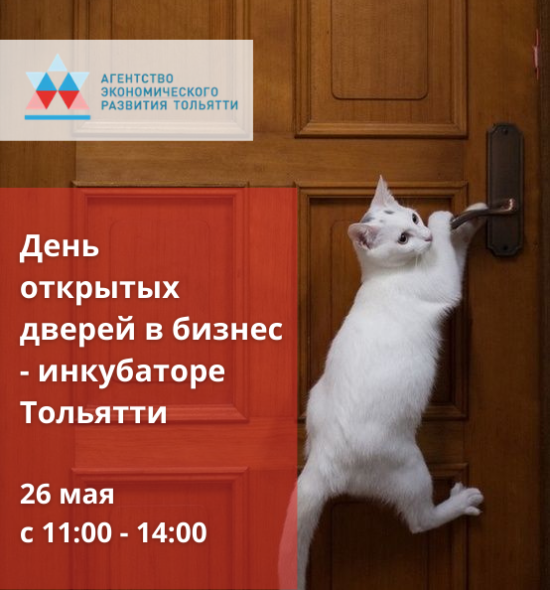 День предпринимателя в Агентстве экономического развития Тольятти