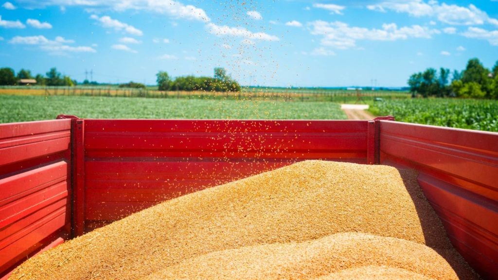 Экспортёры смогут компенсировать расходы на транспортировку сельхозпродукции за рубеж