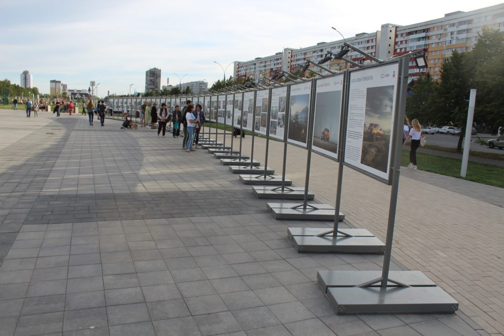 «5 шагов для городов»