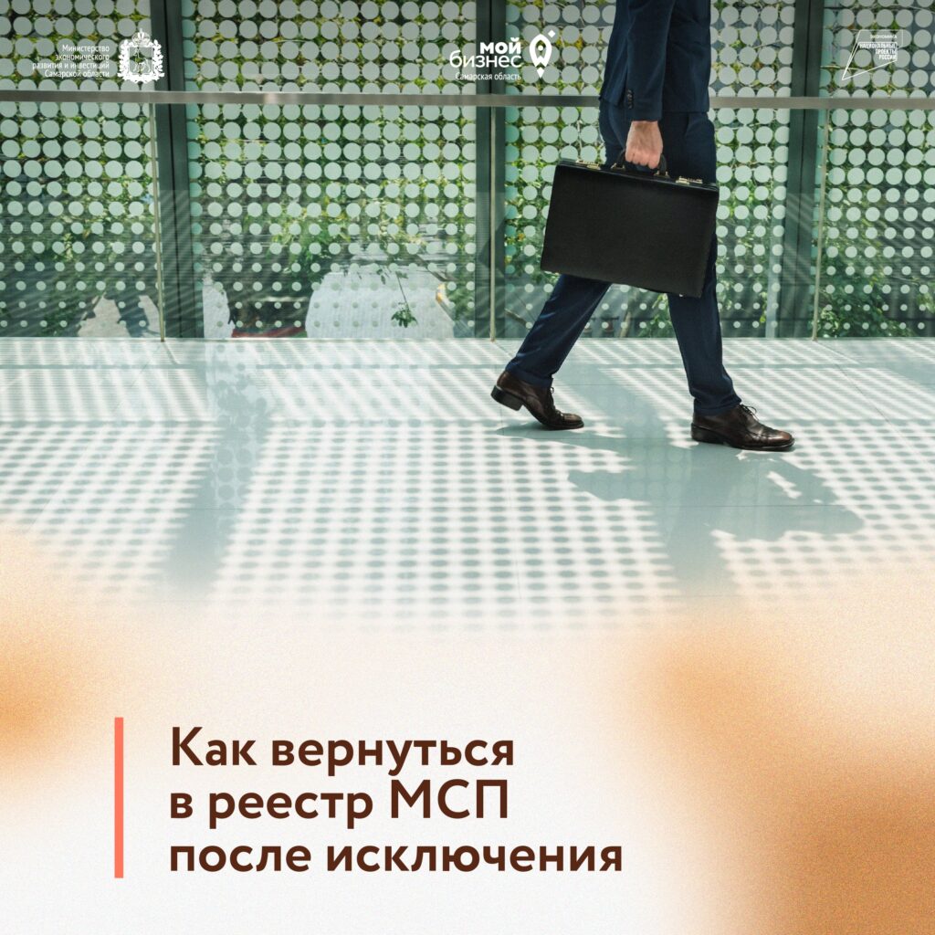 Как вернуться в реестр МСП после исключения