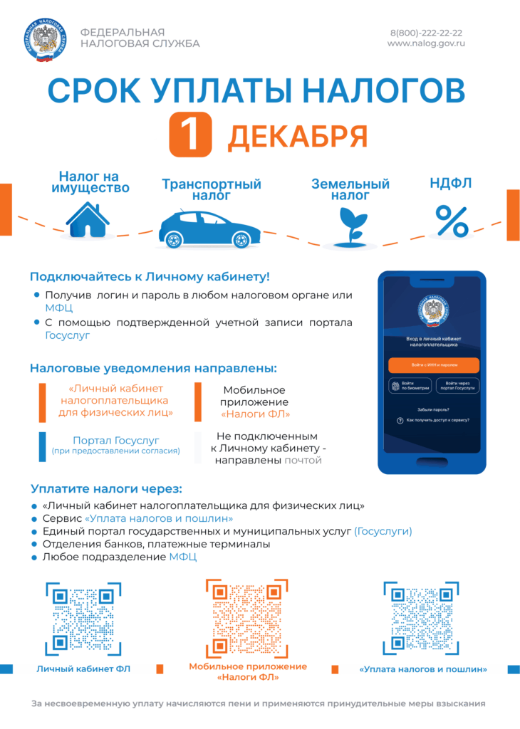 Не позднее 1 декабря 2025 года гражданам необходимо уплатить имущественные налоги и НДФЛ за 2024 год